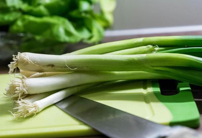 Апартаменты 2 Спальни, Aparthotel Gallahaus