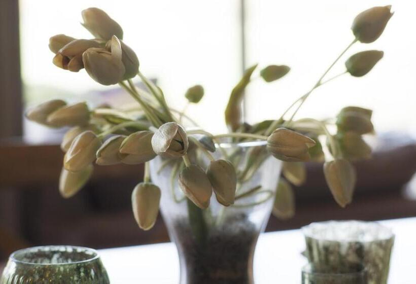 套房, B&b Au Grenier