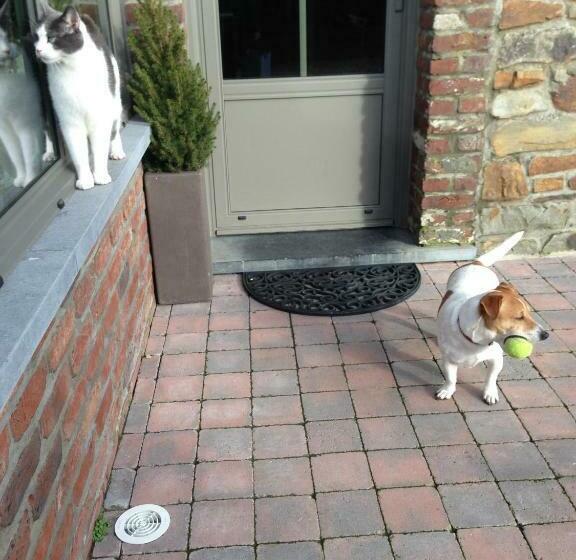 スタンダードルーム, B&b La Niouche