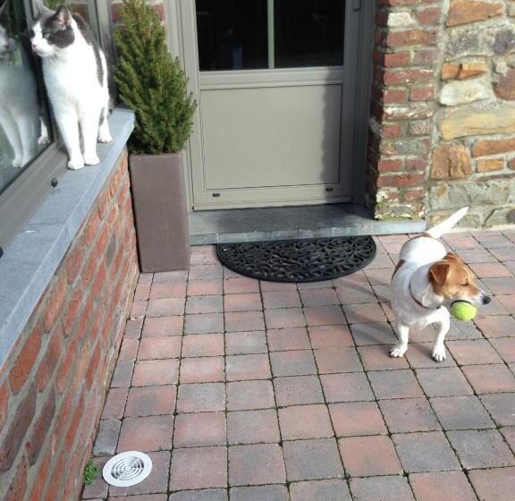 スタンダードトリプルルーム, B&b La Niouche