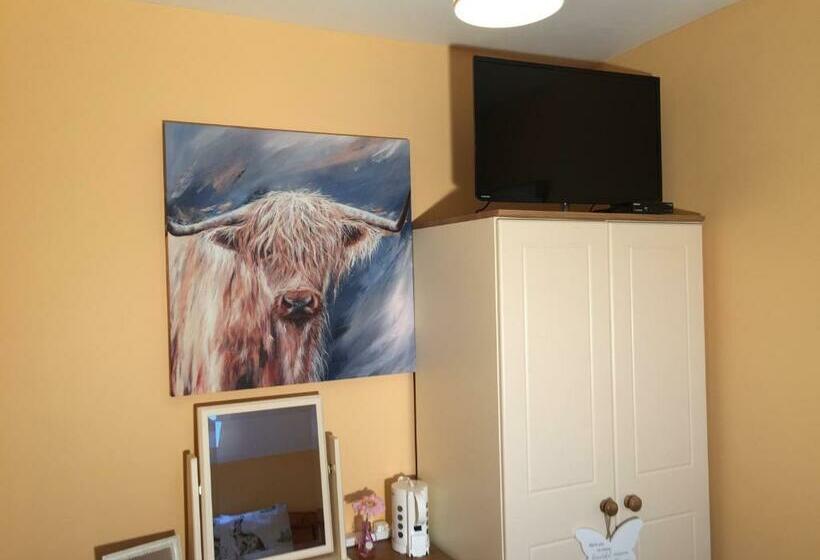 스탠다드 싱글 룸, 2 Mile Lodge