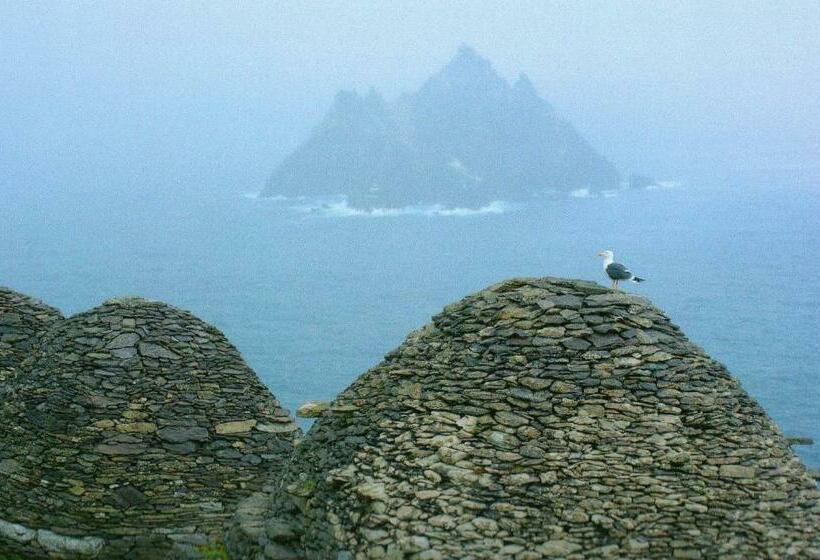 غرفة قياسية مطلّة علي البحر, Harbour View