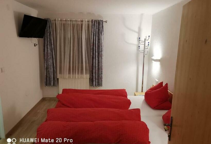 Camera Standard, Landhaus Mayr