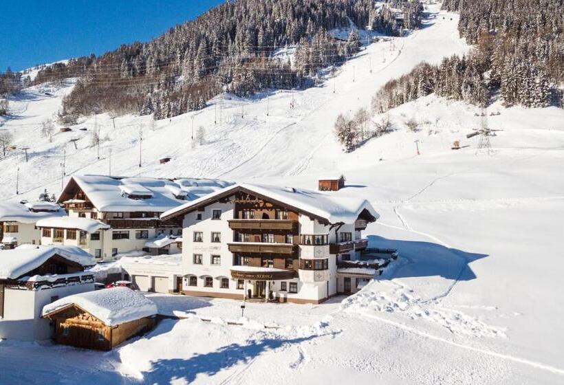 آپارتمان 1 خوابه, Landhaus Strolz