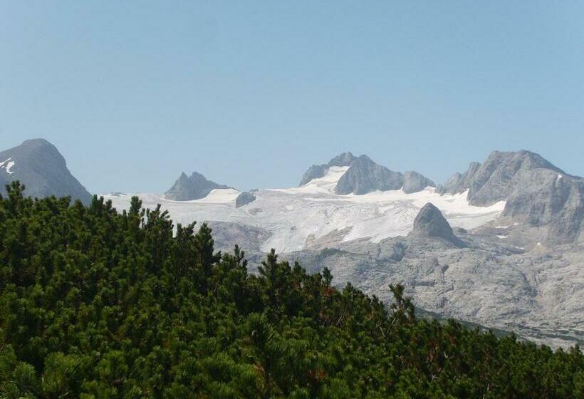 اتاق استاندارد, Privatpension Gosaukammblick