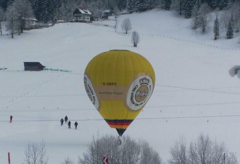 اتاق استاندارد, Privatpension Gosaukammblick