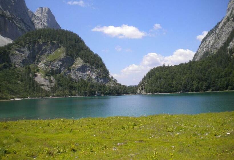 اتاق استاندارد, Privatpension Gosaukammblick