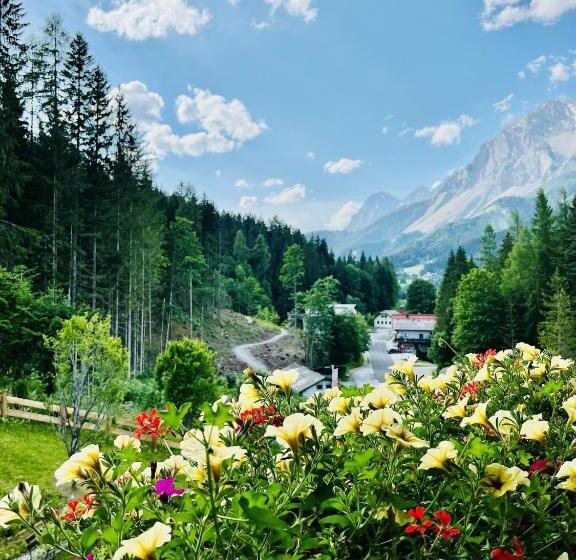 エコノミールーム, Annelies