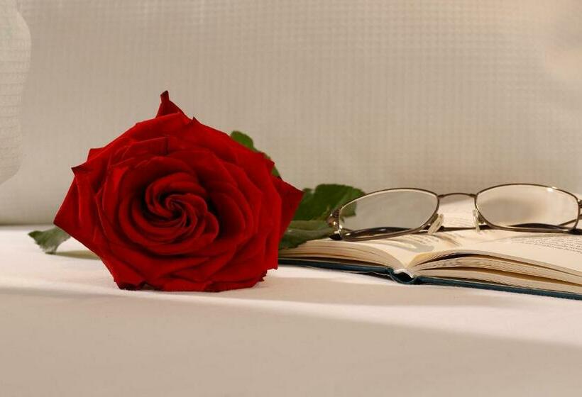 스탠다드 싱글 룸, Garni Maria Theresia