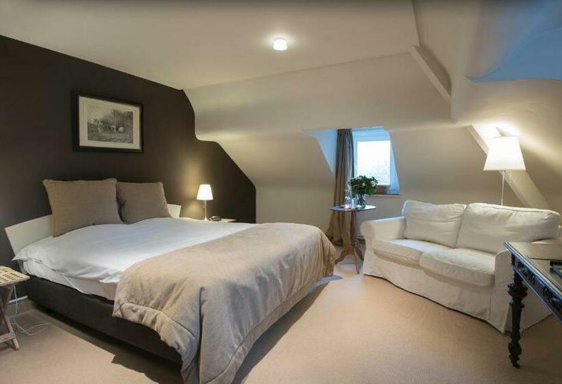 豪华房间, Hippocampus