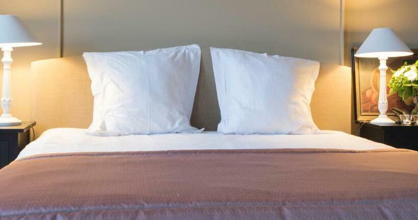 标准间, Hippocampus