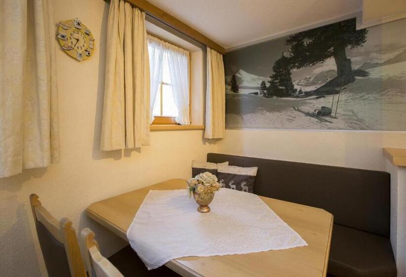 침실 1개 아파트, Tanzer