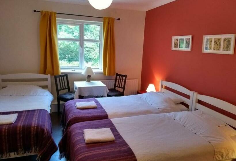 스탠다드 트리픔 룸 공동욕실, Kilcommon Lodge Holiday Hostel