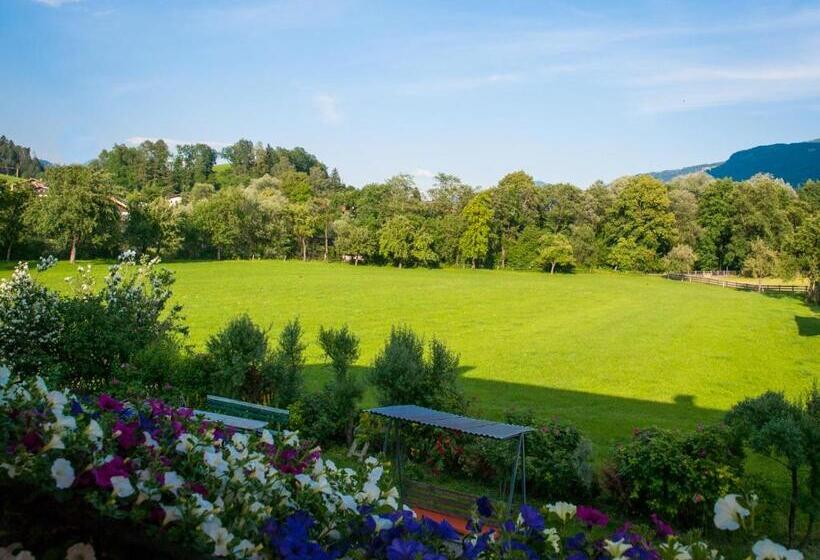 스탠다드 룸, Pension Handle