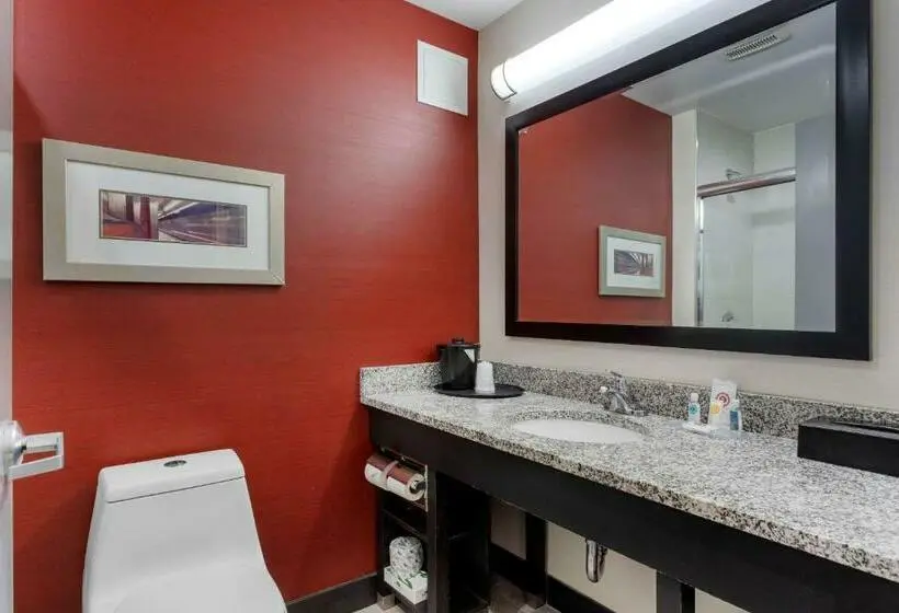 Standard-huone King-vuode, Comfort Inn & Suites Near Stadium