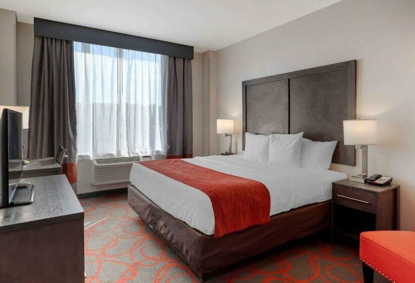 스탠다드 룸 킹사이즈 침대, Comfort Inn & Suites Near Stadium