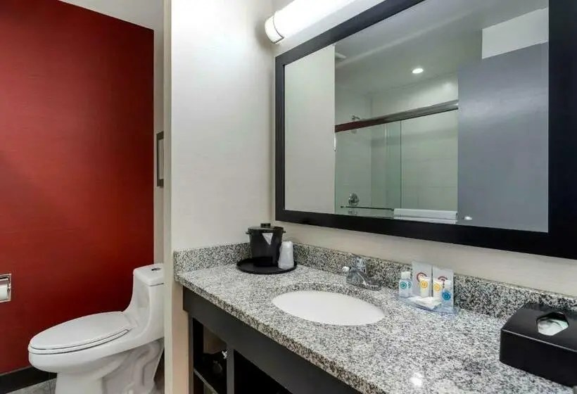 Standard-huone, Comfort Inn & Suites Near Stadium