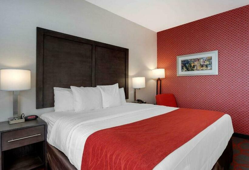 스탠다드 룸 킹사이즈 침대, Comfort Inn & Suites Near Stadium