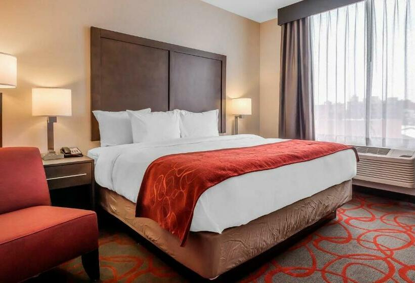 带大床的标准间, Comfort Inn & Suites Near Stadium