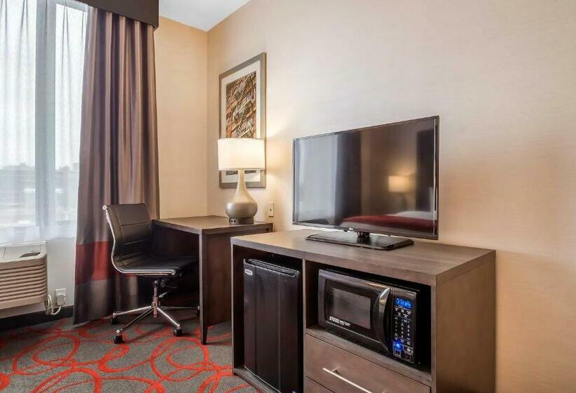 스탠다드 룸 킹사이즈 침대, Comfort Inn & Suites Near Stadium