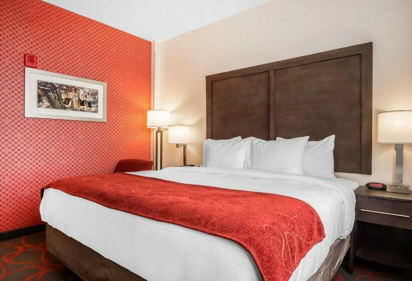 스탠다드 룸 킹사이즈 침대, Comfort Inn & Suites Near Stadium