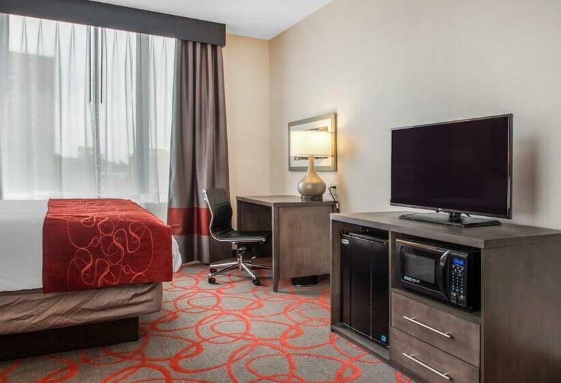 스탠다드 룸 킹사이즈 침대, Comfort Inn & Suites Near Stadium