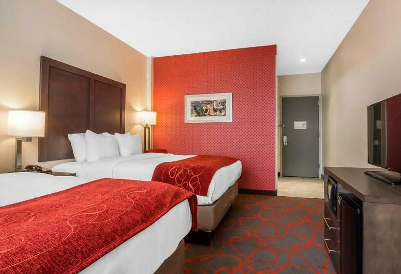 适合残疾人使用的标准间, Comfort Inn & Suites Near Stadium