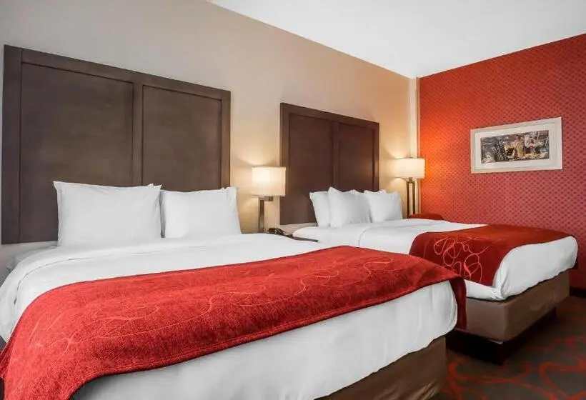 Standard-invahuone, Comfort Inn & Suites Near Stadium