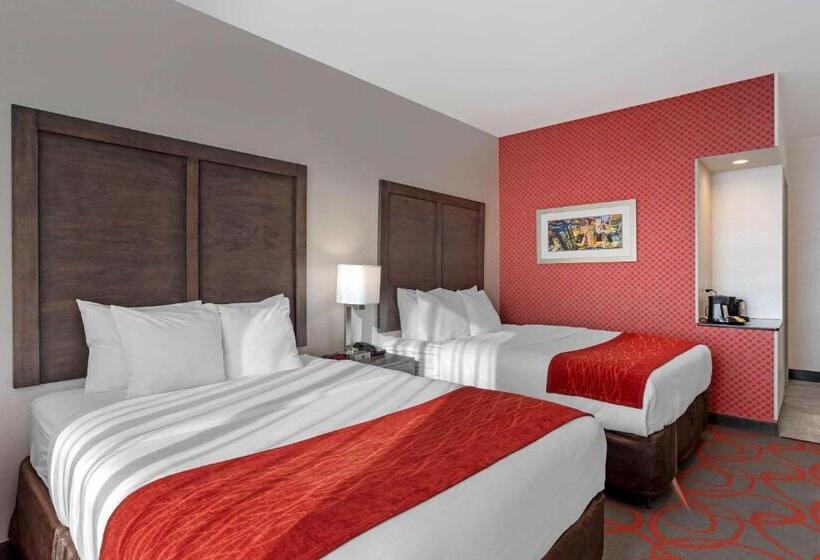 장애인을 위한 스탠다드 룸, Comfort Inn & Suites Near Stadium