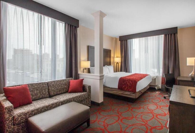 带大床的套房, Comfort Inn & Suites Near Stadium