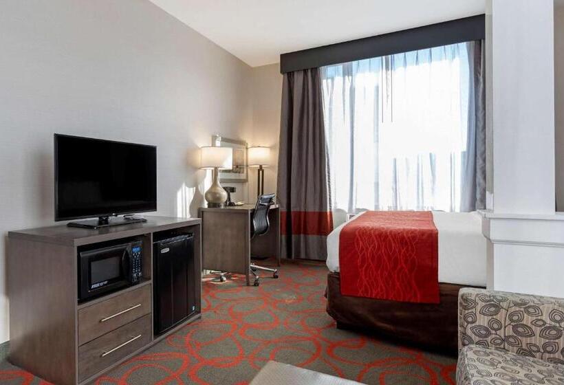 스위트 킹사이즈 침대, Comfort Inn & Suites Near Stadium