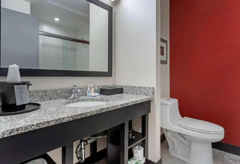 Sviitti King-vuode, Comfort Inn & Suites Near Stadium