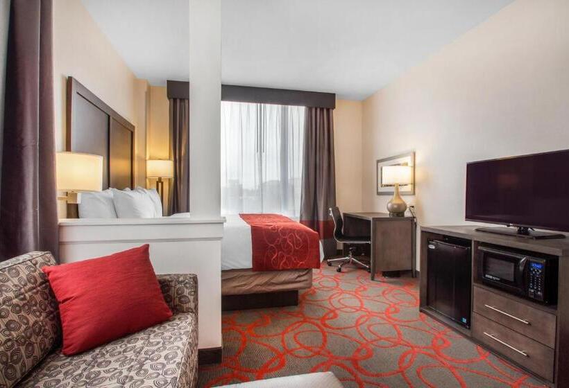 스위트 킹사이즈 침대, Comfort Inn & Suites Near Stadium