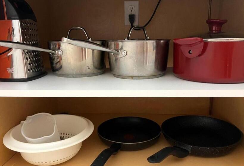 آپارتمان 1 خوابه با چشمانداز باغ, Diver's Paradise Bonaire