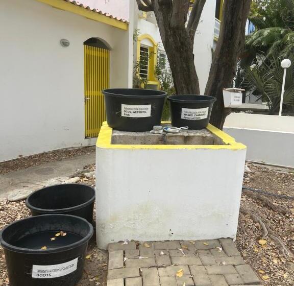 آپارتمان 1 خوابه با چشمانداز دریا, Diver's Paradise Bonaire