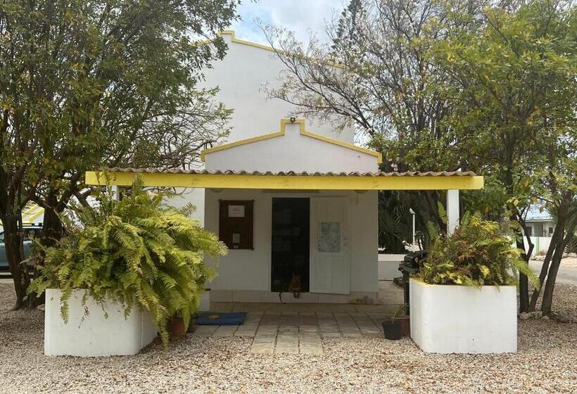 آپارتمان 1 خوابه با چشمانداز دریا, Diver's Paradise Bonaire