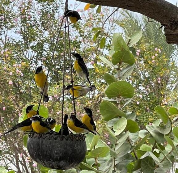 آپارتمان 1 خوابه با چشمانداز دریا, Diver's Paradise Bonaire