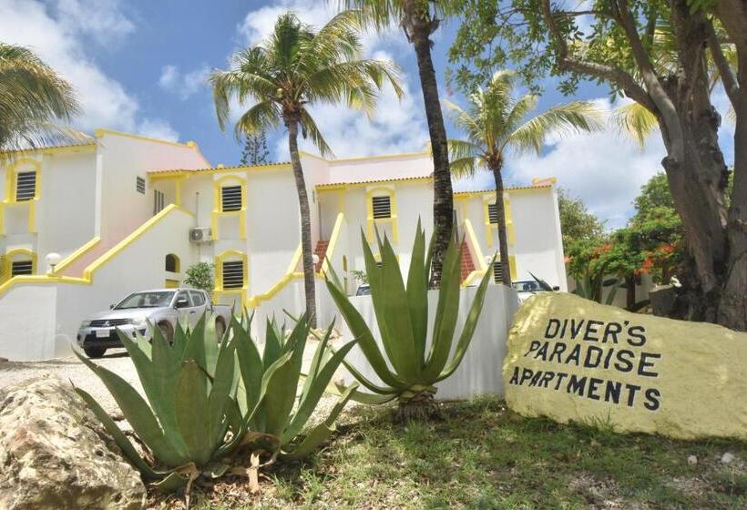 آپارتمان 1 خوابه با چشمانداز دریا, Diver's Paradise Bonaire