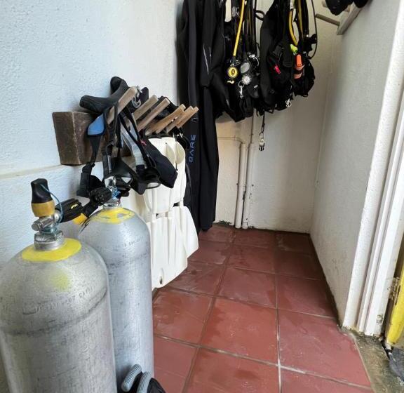 سوییت با چشمانداز باغ, Diver's Paradise Bonaire