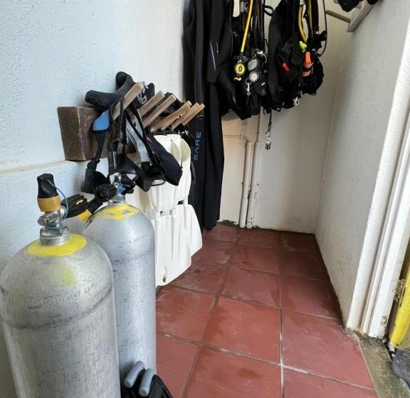 سوییت با چشمانداز باغ, Diver's Paradise Bonaire