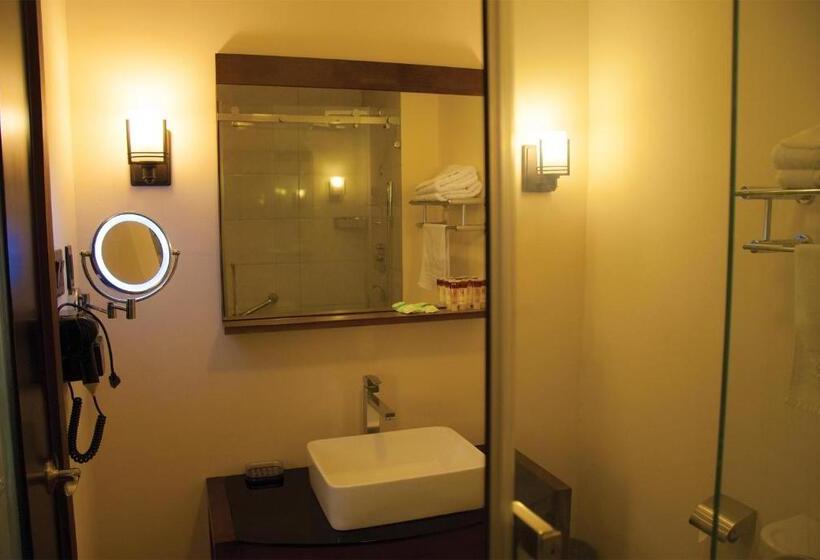 이그제큐티브 룸, Herdmanston Lodge