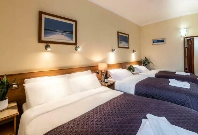 اتاق استاندارد سه نفره, Holiday