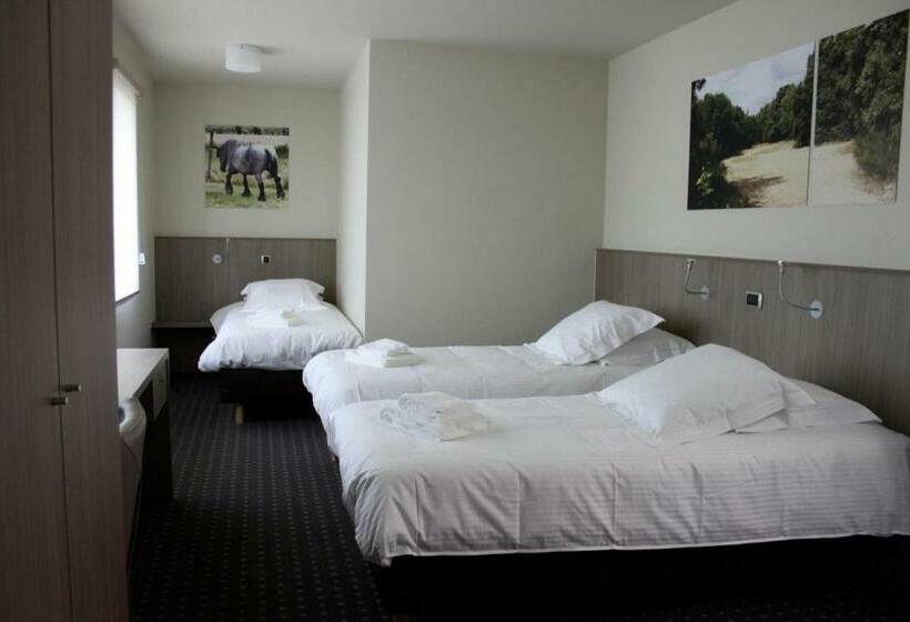 غرفة عائلية, Otus