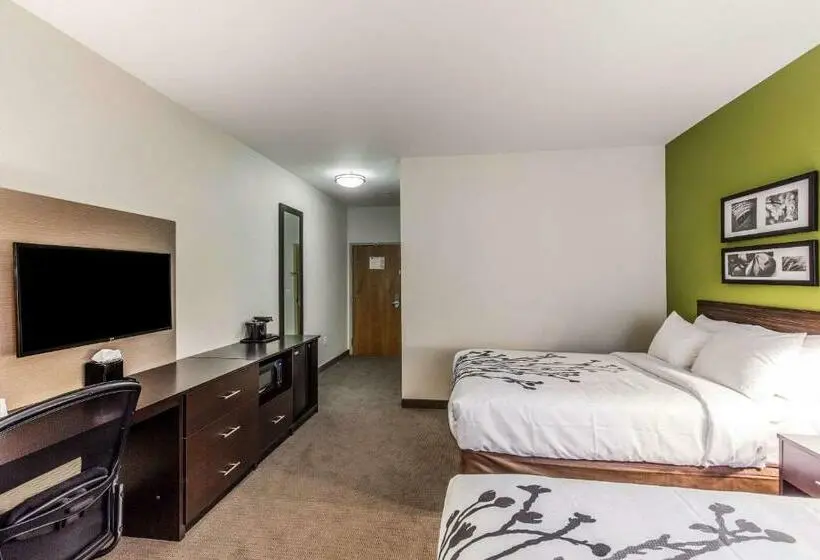 ２ダブルベッドのスタンダードルーム, Sleep Inn Dallas Love Fieldmedical District