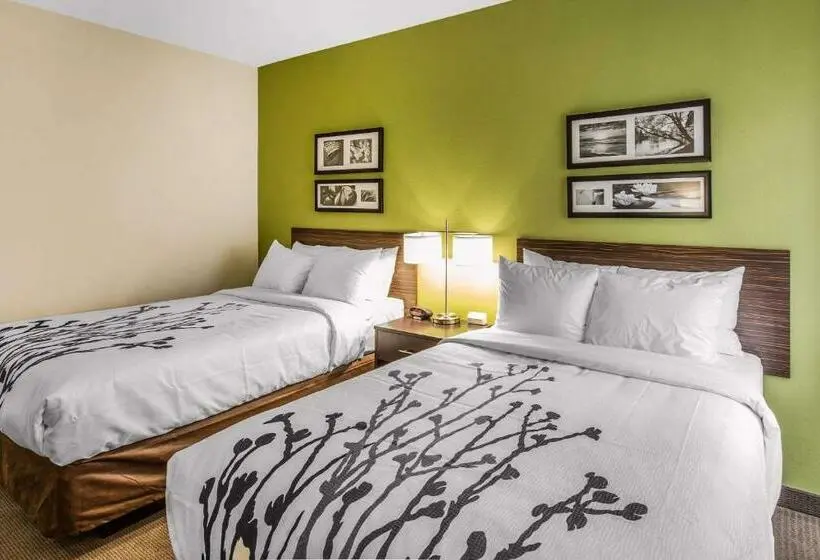 ２ダブルベッドのスタンダードルーム, Sleep Inn Dallas Love Fieldmedical District