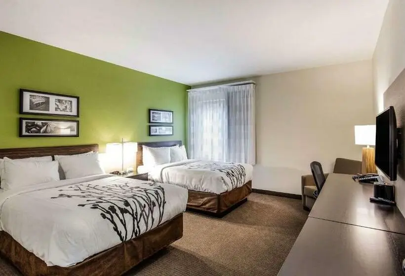 ２ダブルベッドのスタンダードルーム, Sleep Inn Dallas Love Fieldmedical District
