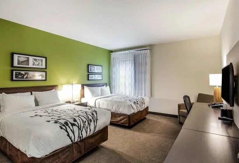 ２ダブルベッドのスタンダードルーム, Sleep Inn Dallas Love Fieldmedical District