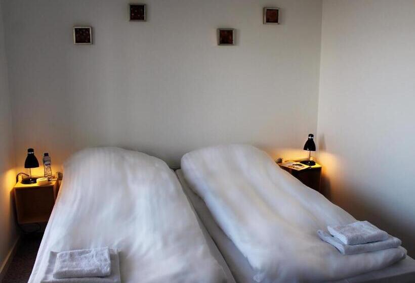 اتاق استاندارد یک نفره با چشم‌انداز دریا, Søma Ilulissat