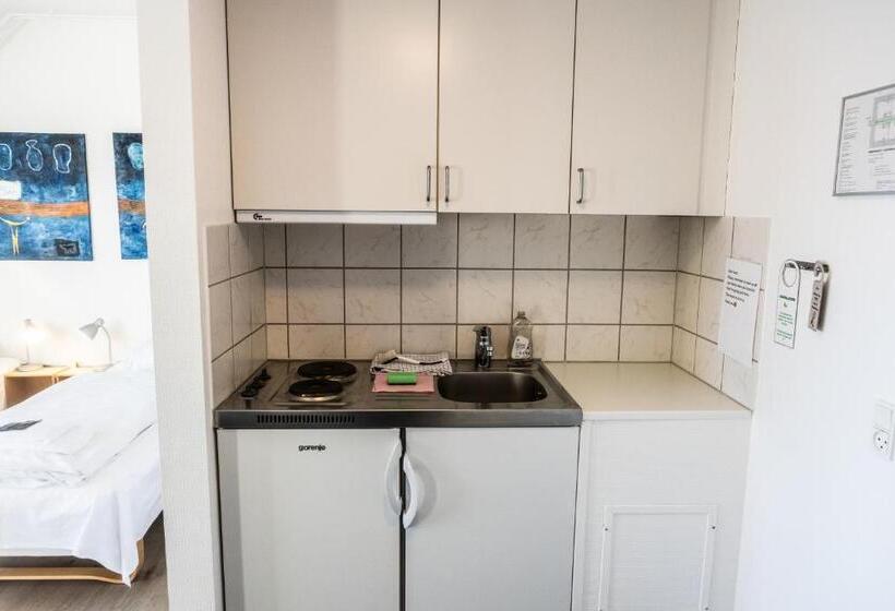 اتاق خانوادگی با چشم‌انداز دریا, Søma Ilulissat