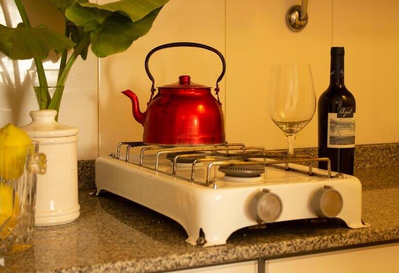 شقة غرفة واحدة مزودة بتراس, Uvas Apart